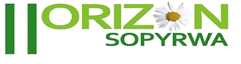 HS-logo-1